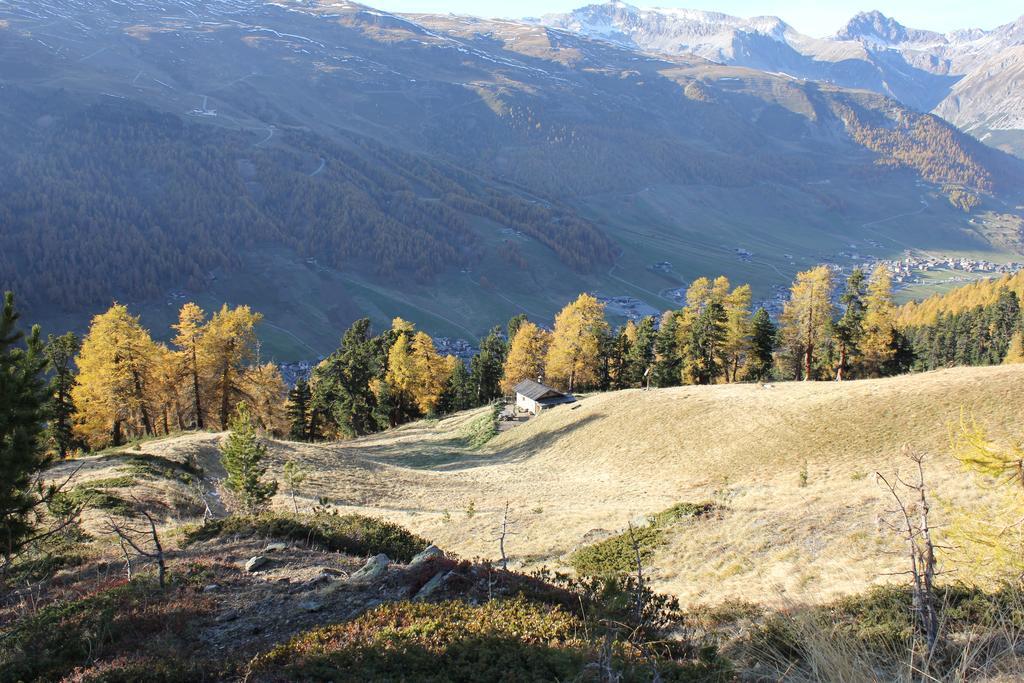 B&B Via Vai Livigno Dış mekan fotoğraf